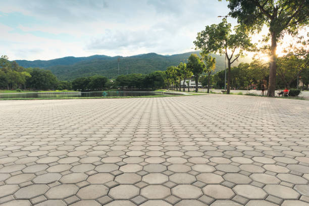 Best Driveway Paving Company  in Carey, ID